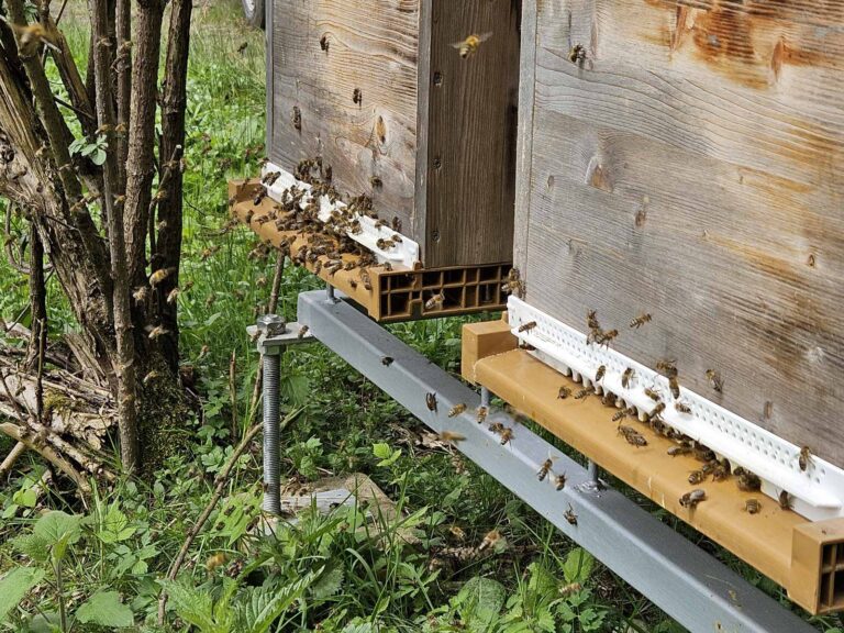 woidwerk_ (13 von 66)