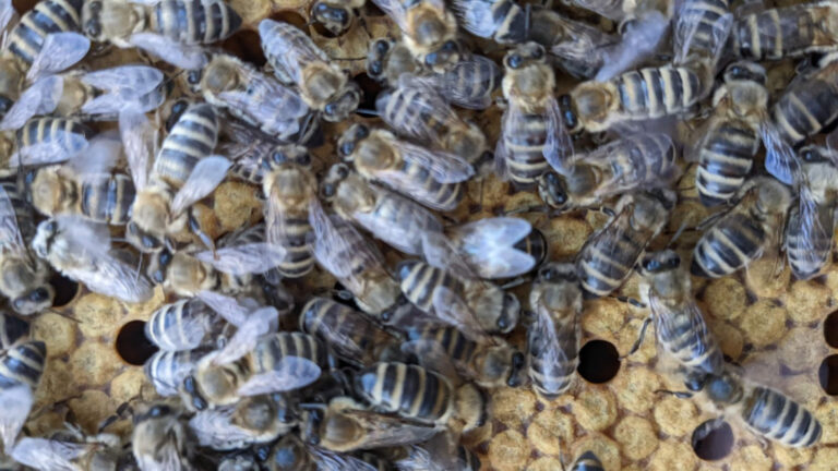 woidwerk_ (31 von 66)