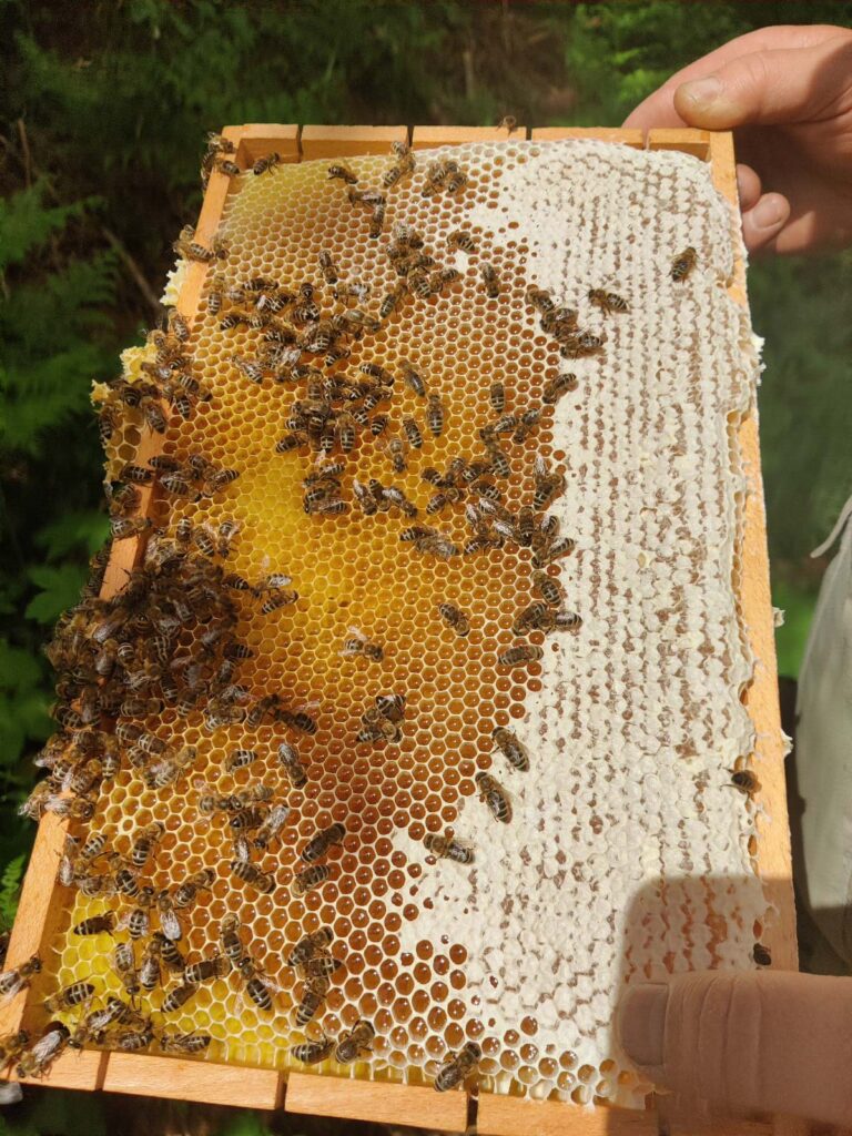 woidwerk_ (65 von 66)