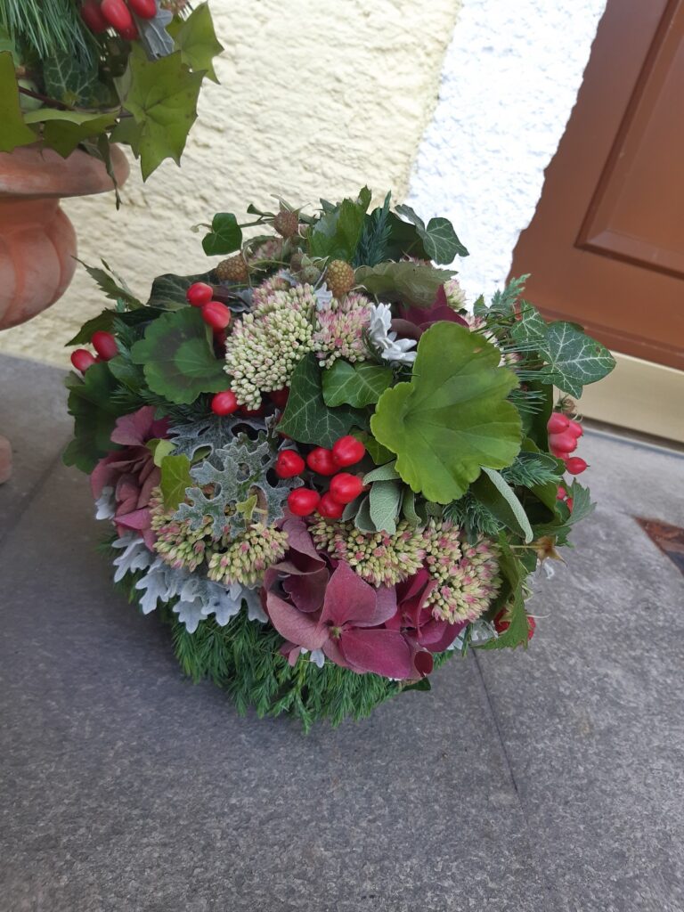 WhatsApp Image 2025-12-30 at 12.04.20 (1)