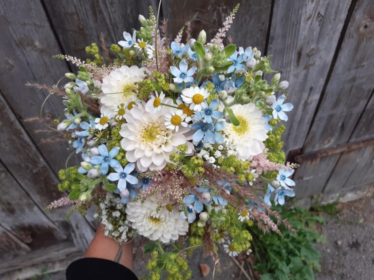 WhatsApp Image 2025-12-30 at 12.04.20 (2)