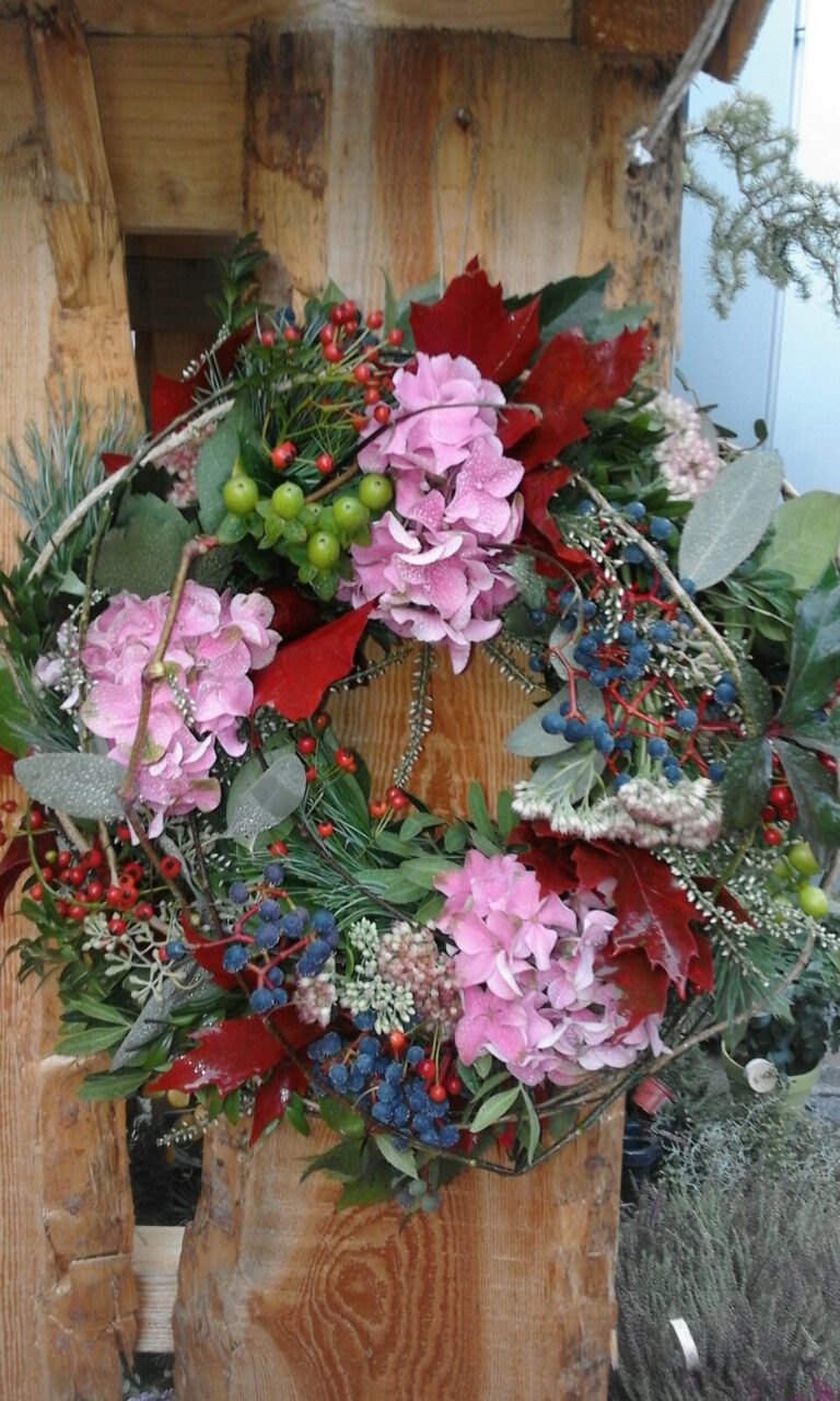 WhatsApp Image 2025-12-30 at 12.04.22