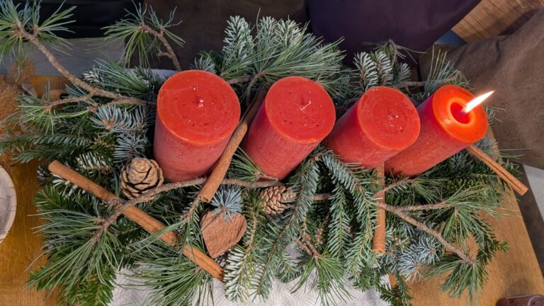 WhatsApp Image 2025-12-30 at 12.04.24 (1)