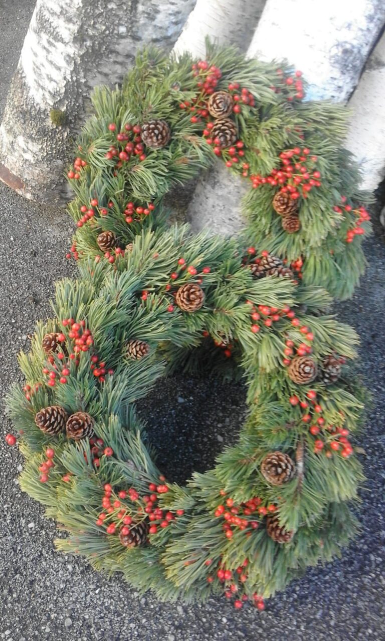 WhatsApp Image 2025-12-30 at 12.04.25 (1)